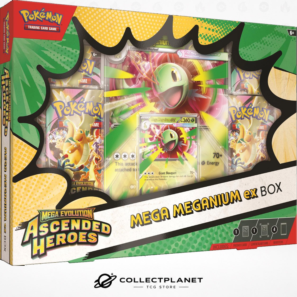 Ascended Heroes Mega Meganium EX Box